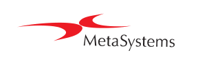 metasystems